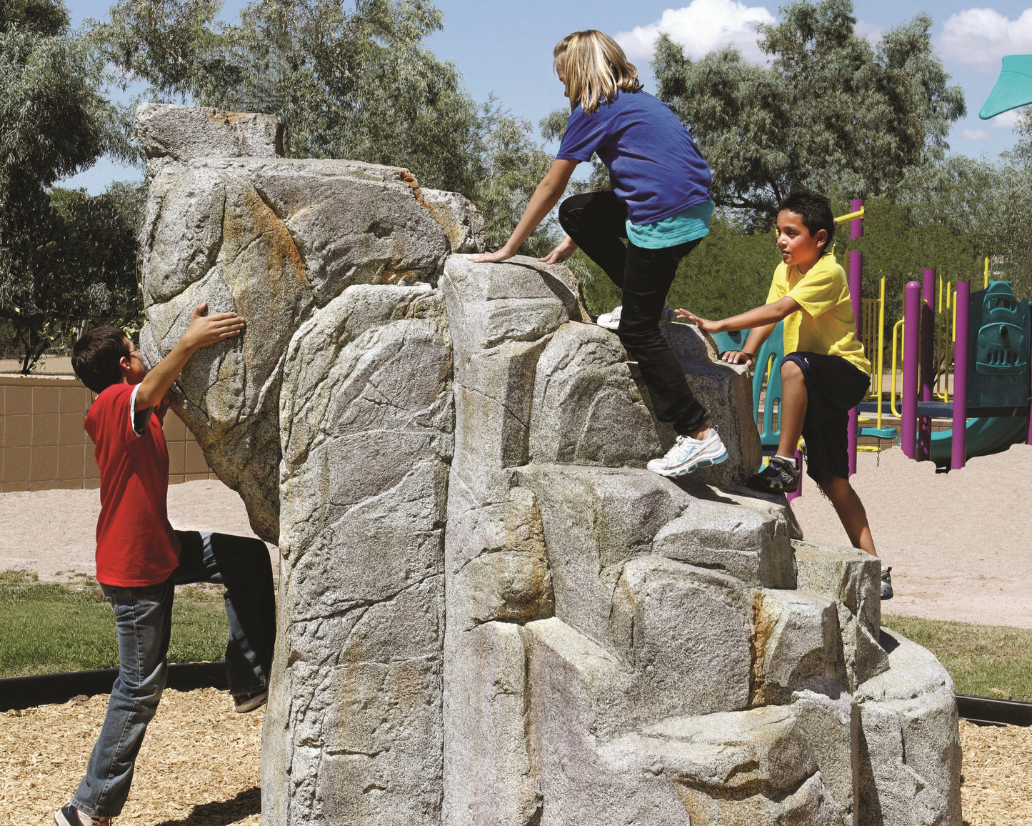 Medium Granite Boulder