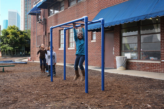 Early Childhood Horizontal Ladder