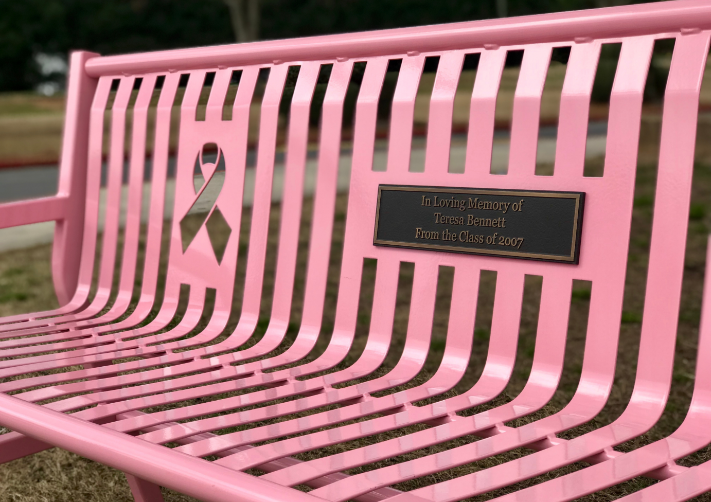 Jackson Awareness Bench