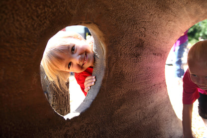 4' Log Tunnel