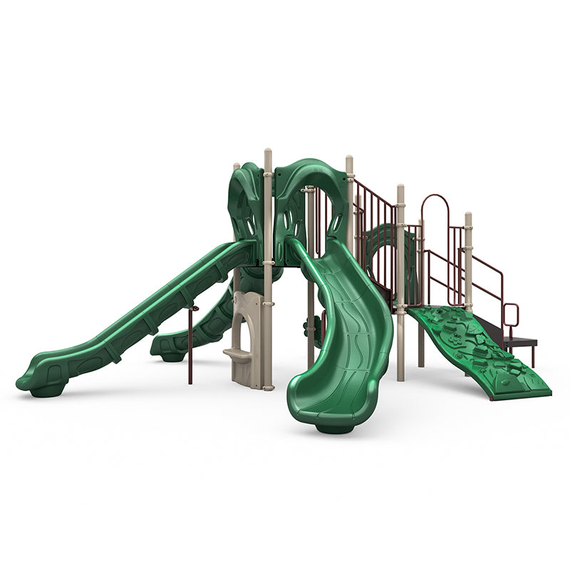 Mount Rainier Playground