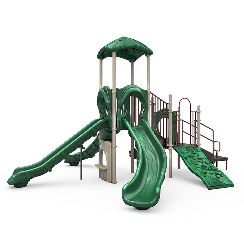 Mount Rainier Playground