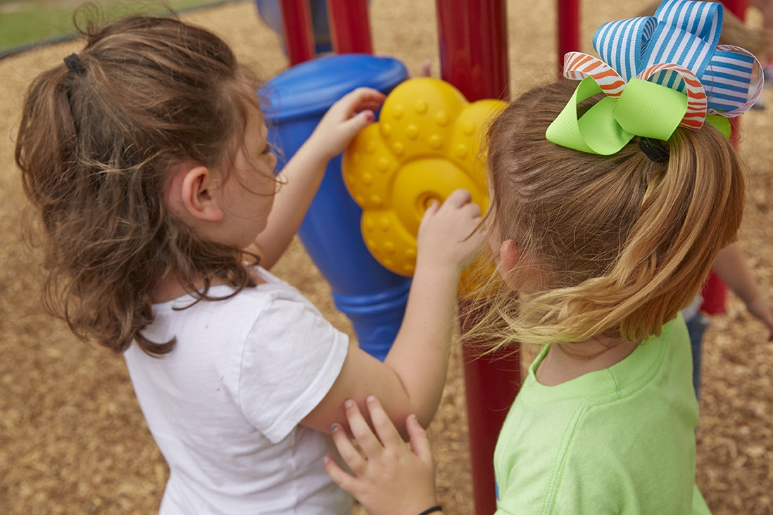 Slide Mountain Play System