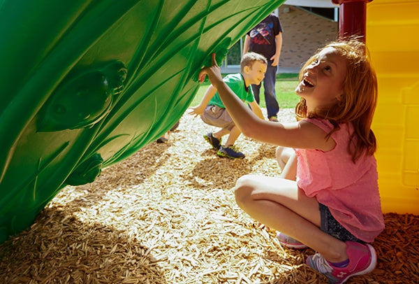 Hawk's Nest Play System